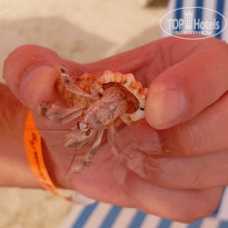 фото из отзыва ID 2716651