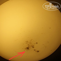 фото из отзыва ID 2716671