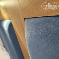 фото из отзыва ID 2716671