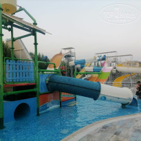 фото из отзыва ID 2716716