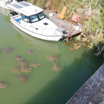 фото из отзыва ID 2716716