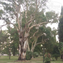 фото из отзыва ID 2716738