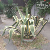 фото из отзыва ID 2716738