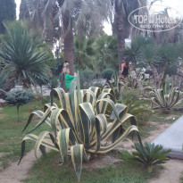 фото из отзыва ID 2716738