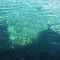 фото из отзыва ID 2716734