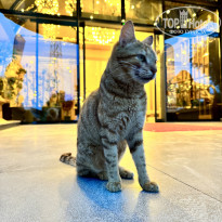 фото из отзыва ID 2716786