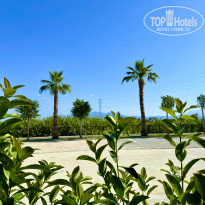 фото из отзыва ID 2716786