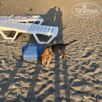 фото из отзыва ID 2716802