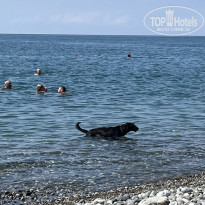 фото из отзыва ID 2716802