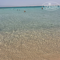 фото из отзыва ID 2716811