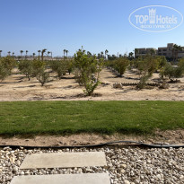 фото из отзыва ID 2716811