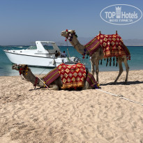 фото из отзыва ID 2716811