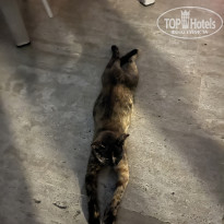 фото из отзыва ID 2716832