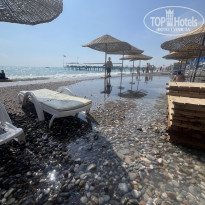 фото из отзыва ID 2716832