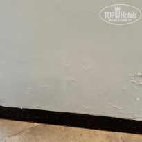 фото из отзыва ID 2716853