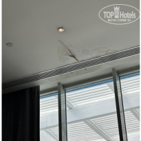 фото из отзыва ID 2716853