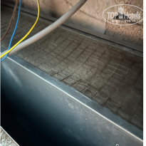 фото из отзыва ID 2716853