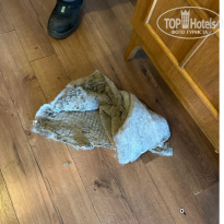 фото из отзыва ID 2716853