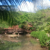 фото из отзыва ID 2716861