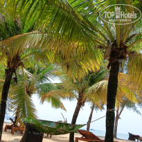 фото из отзыва ID 2716861