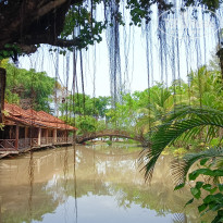 фото из отзыва ID 2716861