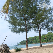 фото из отзыва ID 2716861