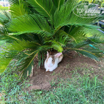 фото из отзыва ID 2716876