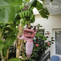 фото из отзыва ID 2716857