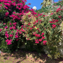 фото из отзыва ID 2716876