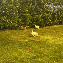 фото из отзыва ID 2716876