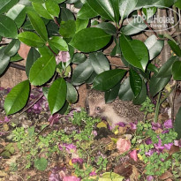 фото из отзыва ID 2716876