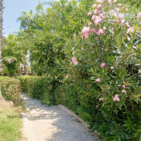 фото из отзыва ID 2716896