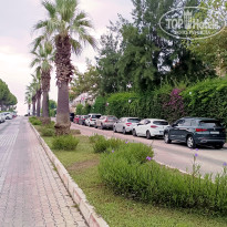 фото из отзыва ID 2716896