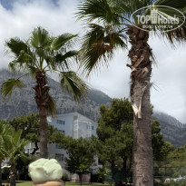 фото из отзыва ID 2716902