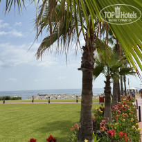 фото из отзыва ID 2716902