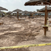 фото из отзыва ID 2716059