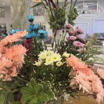 фото из отзыва ID 2715357