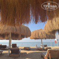 фото из отзыва ID 2715357