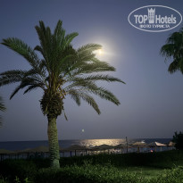 фото из отзыва ID 2717010