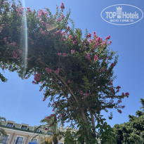 фото из отзыва ID 2717010