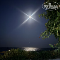 фото из отзыва ID 2717010