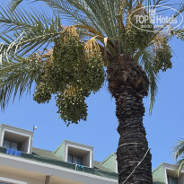 фото из отзыва ID 2717010