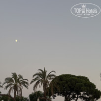 фото из отзыва ID 2717010