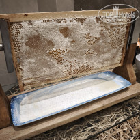 фото из отзыва ID 2717013