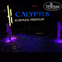 фото из отзыва ID 2717013