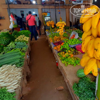 фото из отзыва ID 2716123