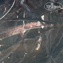 фото из отзыва ID 2716123