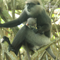 фото из отзыва ID 2716123