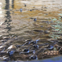 фото из отзыва ID 2716123