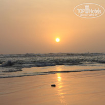 фото из отзыва ID 2716123